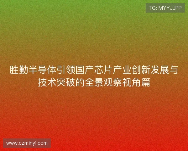 胜勤半导体引领国产芯片产业创新发展与技术突破的全景观察视角篇